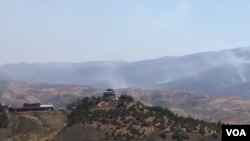 Şewitîna daristanan