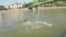 Budapest Touts Swimming in Fast-Flowing Danube River