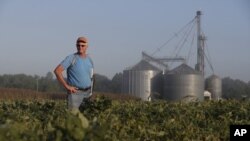 Jack Maloney observa uno de sus cultivos de soya en Brownsburg, Indiana, el miércoles 12 de septiembre de 2018. 
