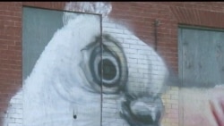 murals