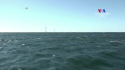 ԱՄՆ-ը կարող է դուրս գալ Կլիմայի վերաբերյալ Փարիզի համաձայնագրից Դոնալդ Թրամփի կողմից նախագահի պաշտոնը ստանձնելուց հետո