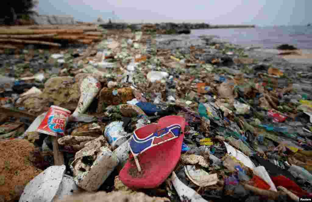 پلاسٹک کے استعمال سے سب سے زیادہ سمندر اور آبی حیات متاثر ہورہے ہیں۔ پاکستان میں ہونے والی ایک ریسرچ میں انکشاف کیا گیا ہے کہ کراچی کے ساحلی علاقے کلفٹن میں ایک گرام ریت میں مائیکرو پلاسٹک کے 300 سے زائد ذرات پائے گئے ہیں۔ یہ تعداد آبی حیات کے ساتھ ساتھ انسانوں کے لیے بھی خطرے کی علامت ہے۔ &nbsp;