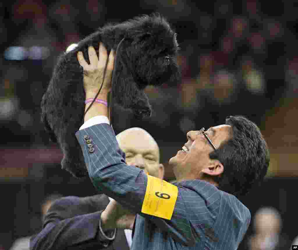 Ernesto Lara merayakan kemenangan Banana Joe, seekor anjing jenis Affenpinscher, dalam lomba anjing Westminster Kennel Club ke-137 di Madison Square Garden, New York (12/2).