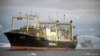 海洋守护者协会在南极附近发现日本捕鲸船队