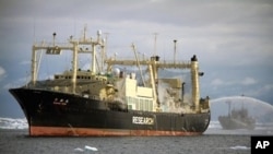 FILE - Sea Shepherd ship Bob Barker (R) takes position at the stern of the Japanese factory ship Nisshin Maru (L) to block the slipway in the Southern Ocean, February 10, 2011.