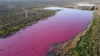 Pollution Turns Argentina Lake Bright Pink