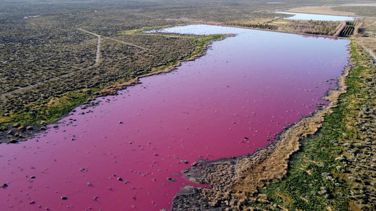 La contaminación colorea el lago en Argentina de rosa claro