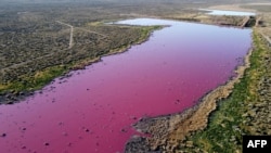 ارجنٹینا کے علاقے پیٹاگونیا میں واقع ایک جھیل کورفو کے پانی کا رنگ چمک دار گلابی ہو گیا ہے۔ فضا سے یہ تصویر 23 جولائی 2021 کی ہے۔