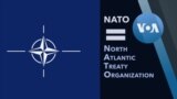 Explainer NATO