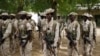 乍得尼日尔军队重新占领尼日利亚城镇
