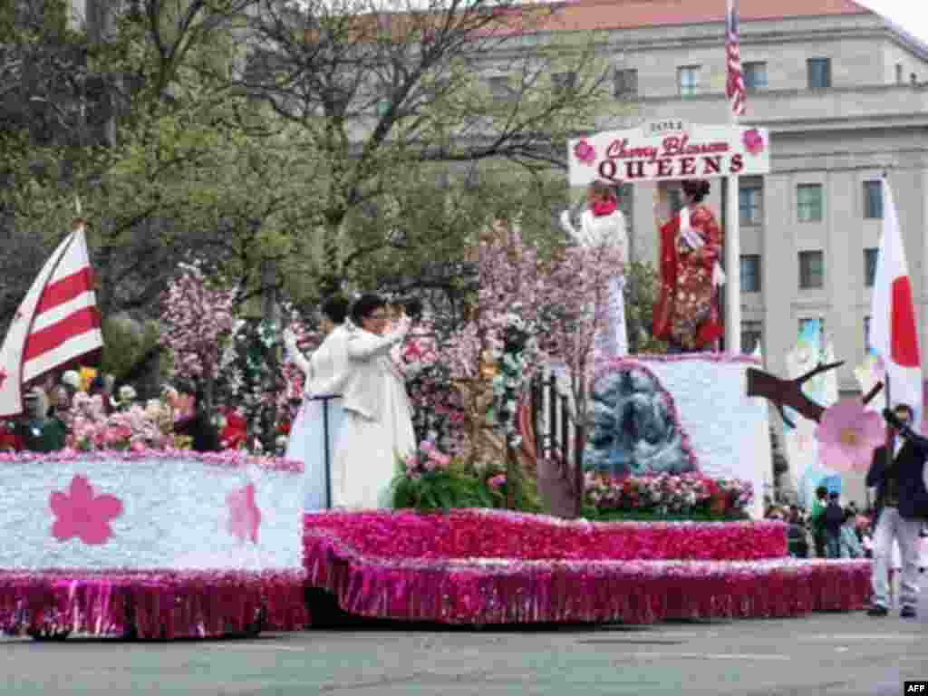 Lễ hội Hoa Anh Ðào 2011 ở thủ đô Washington (VOA - Trà Mi)