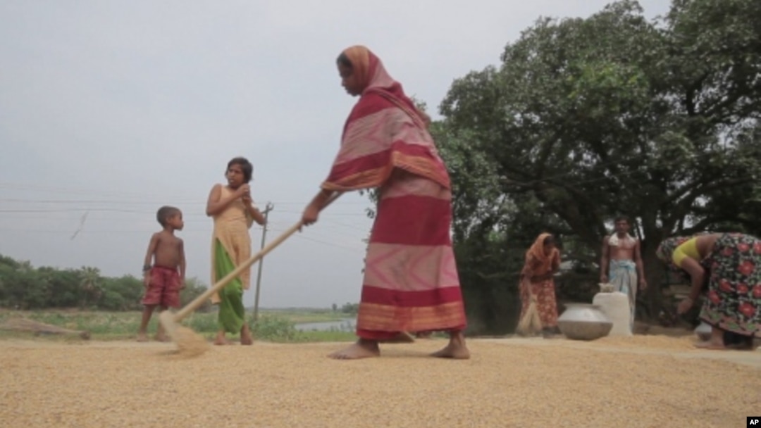 Bangladeshning dehqon ayollari