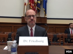 资料照：普林斯顿大学国际关系教授弗里德伯格在国会听证会上作证。