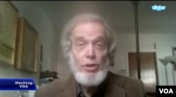 Lawrence Wittner, American historian and social justice activist in Albany, New York, speaking on HashtagVOA, Nov. 3, 2015.