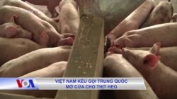 Việt Nam kêu gọi Trung Quốc mở cửa cho thịt heo