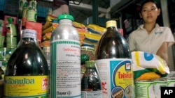 Cambodian market vendor Vo Leak displays commonly sold pesticides at her stall in Siem Reap.