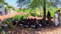 په جنګ ځپلي قبایلي ضلعو کې لا هم د تعلیم په لار کې لا هم ډیر چېلنجونه دي: چارواکي