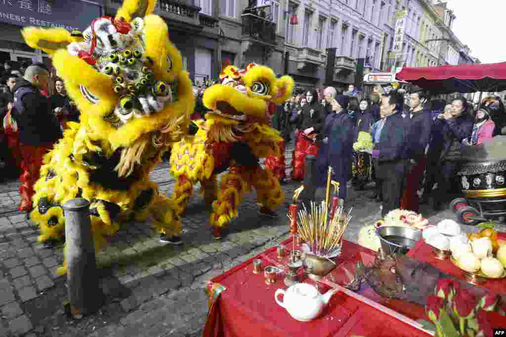 2018年2月17日，在比利时的安特卫普举行的农历新年庆祝活动中，有人舞狮。这个农历新年标志着狗年的开始。