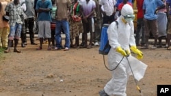 Seorang petugas medis menyemprot mayat seorang pria yang dicurigai sekarat akibat virus Ebola, dengan cairan diinfektan kimia di Monrovia, Liberia, Kamis, 4 September 2014.