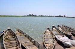 FILE - Pirogues on the Logone river in Blaram, northern Cameroon, March 1, 2013.