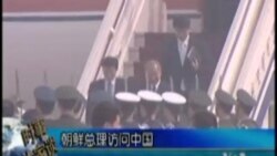 朝鲜内阁总理崔永林访华