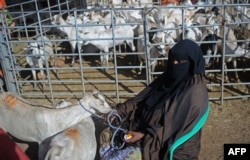 FILE — A Somali female trader waits for customers on January 25, 2018 at a livestock market in Garowe, the biggest livestock market in the northern breakaway state of Puntland.