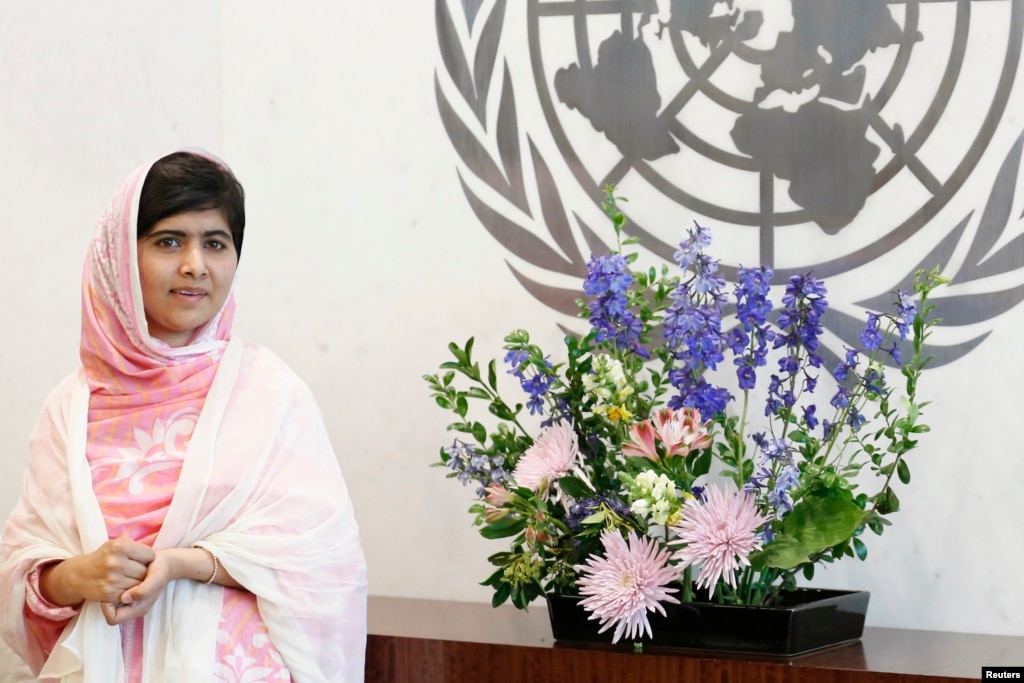 summary of malala yousafzai speech at the united nations