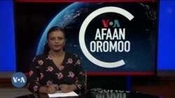 Tamsaasa Guyaadhaa Guyyaa