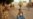 Sahel Conflict Set to Worsen in 2022: Analysts