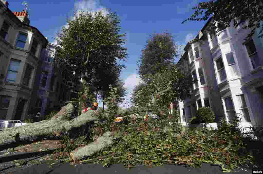 Tree surgeons clear a fallen tree from a street in Brighton after storms in south east England. Britain's strongest storm in a decade battered southern regions, forcing hundreds of flight cancellations, cutting power lines and disrupting the travel plans of millions of commuters.
