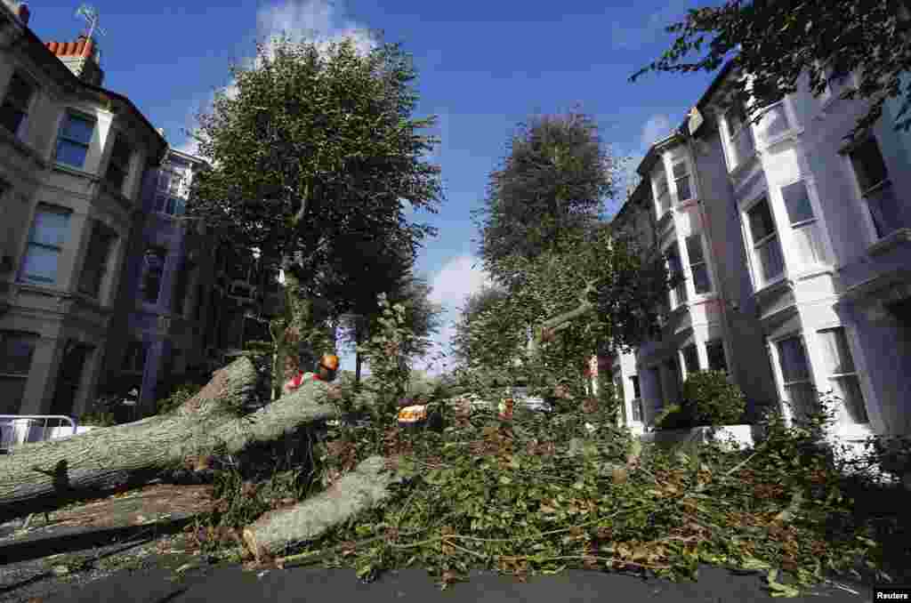 Seorang pekerja membersihkan pohon tumbang dari sebuah jalan di kota Brighton, pasca badai di Inggris tenggara.