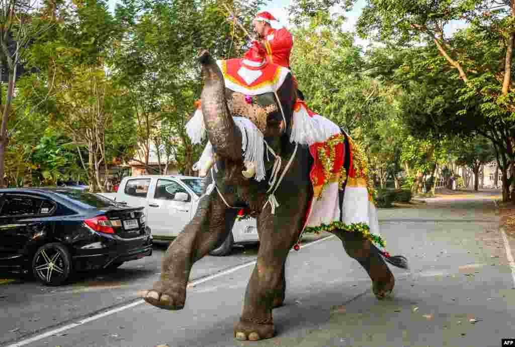 A mahout trains his elephant dressed in a Santa Claus costume before a gift presentation to schoolchildren during Christmas celebrations in Ayutthaya, Thailand.