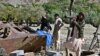 گزارش دیدبان حقوق بشر با استقبال جبهۀ مقاومت و رد طالبان مواجه شد