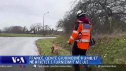 Francë, qentë gjurmojnë humbjet në rrjetet e furnizimit me ujë