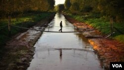 Limbah beracun yang tumpah ke sungai Danube telah menewaskan 5 orang dan membuat lebih 100 orang cedera.