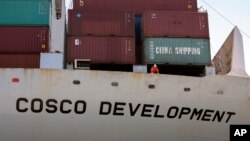 In this photo provided by the Georgia Port Authority, a crewman on board the container ship Cosco Development looks over the side as the vessel docks at the Port of Savannah, May 11, 2017, in Garden City, Georgia.