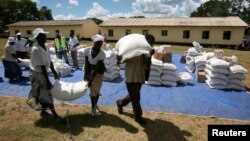 Zimbabwean villagers collect their monthly rations of food aid from Rutaura Primary School in the Rushinga district of Mt Darwin, about 254km north of Harare, Zimbabwe, March 7, 2013. 