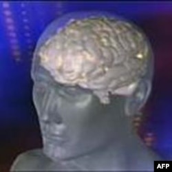 Pomoću testa krvi utvrđuje se nivo određenog proteina u mozgu