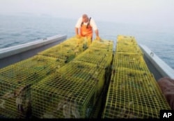 Paul Cabral lines up the lobster traps on the boat's deck.