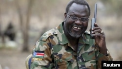 L'ex-rebelle sud-soudanais Riek Machar parle au téléphone dans l'État de Jonglei, Soudan du sud, le 1 février 2014.