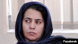 ميرمن حقمل وايي بايوميترک د حمايوي سیستم په توگه کارول کيږي