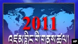 2011: World News in Review