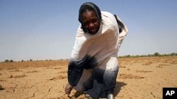 Image released by Oxfam shows a women pointing at the dry land in Oud Guedara. Indicators in late 2011 pointed to a likely food crisis in 2012, with people at particularly high risk in Mauritania, Niger, Burkina Faso, Mali and Chad.