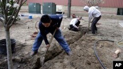 Stephen Faulkner,al frente, propietario de Faulkner's Landscaping & Nursery, instala un sistema de irrigación junto a un trabajador temporal no agrícola en Manchester, New Hampshire.