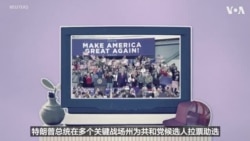 美国2026年中期选举：国会控制权之争