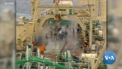 Japan to Leave International Whaling Commission; Resume Commercial Whaling