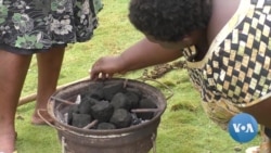 Cameroonian Fishermen Harvest Invasive Aquatic Fern to Create Energy Source