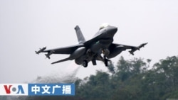 美国之音中文广播 (2026年1月29日)