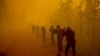 Wildfires in Russia Spread to Central Regions   