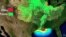 Gulf of Mexico Dead Zone